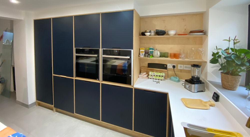 Gallery - Blue Cupboard Doors - James Hewitt Furniture By Design